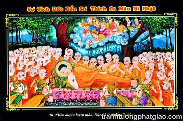 Lịch Sử Phật Thích Ca Mâu Ni Phật (443)